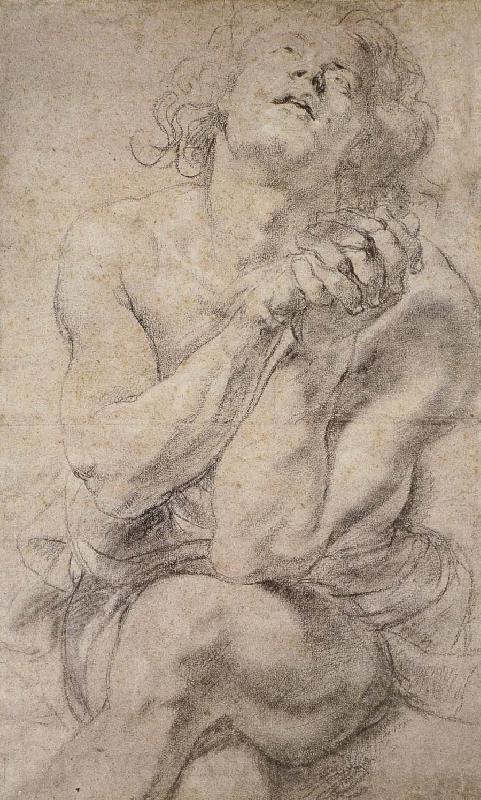 Peter Paul Rubens Daniel France oil painting art